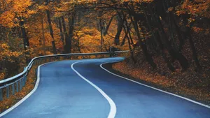 最弯曲的公路图片_7