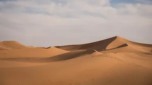 撒哈拉沙漠图片_7