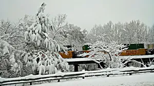 雾凇雪景景观图片_5