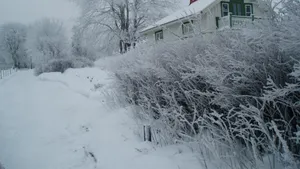 雾凇雪景景观图片_9