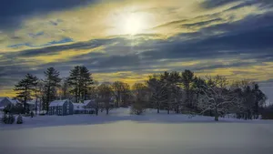 冬天的雪风景图片_4
