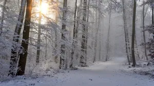 冬天的雪风景图片_6
