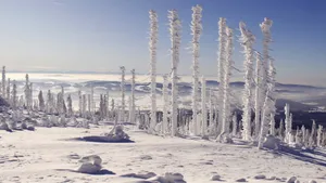冬天的雪风景图片_7