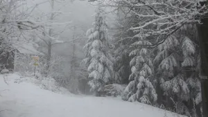 冬天的雪风景图片_14
