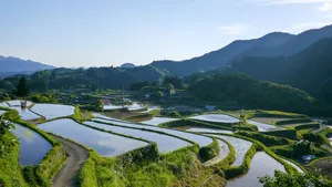 日本九州岛熊本风景图片_3