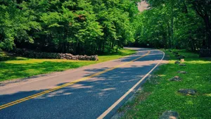 优美的公路风景图片_11