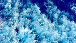 咆哮的海浪图片_12