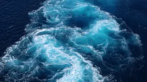 咆哮的海浪图片_13