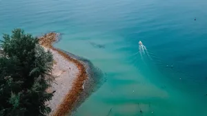 海边航拍的海滩图片_3