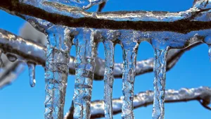 寒冷的冰雪霜冻图片_4