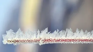 寒冷的冰雪霜冻图片_11