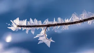 寒冷的冰雪霜冻图片_12