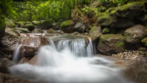 高清溪流图片_7