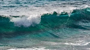 海浪图片大全_14