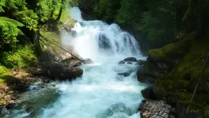 山涧溪流瀑布壁纸_12