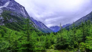 四川四姑娘山风景图片壁纸_4