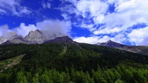 四川四姑娘山风景图片壁纸_8