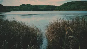 景色优美的湖泊图片_4