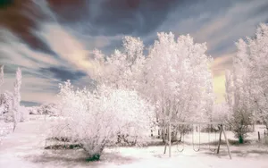 冬季雪景图片_2