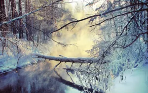 冬季雪景图片_3
