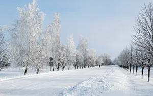 冬季雪景图片_4