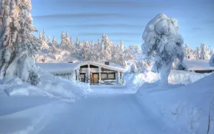 冬季雪景图片_5