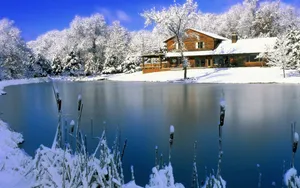 冬季雪景图片_6