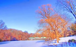 冬季雪景图片_7