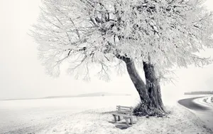 冬季雪景图片_8