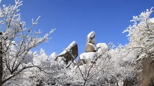 安徽天柱山雪景图片_2
