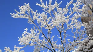 安徽天柱山雪景图片_8