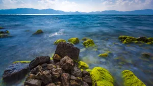 云南玉溪抚仙湖风景壁纸_3