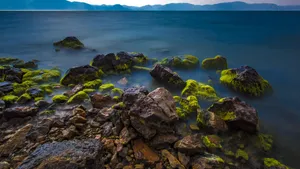 云南玉溪抚仙湖风景壁纸_5