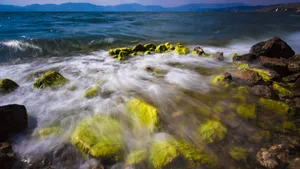 云南玉溪抚仙湖风景壁纸_8