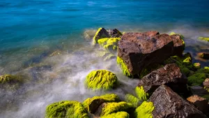 云南玉溪抚仙湖风景壁纸_10