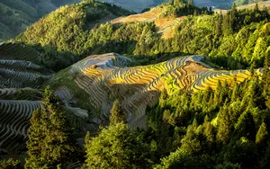 广西龙脊梯田风景图片_2