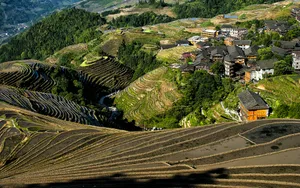 广西龙脊梯田风景图片_6