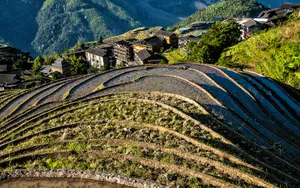 广西龙脊梯田风景图片_7