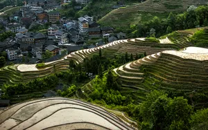 广西龙脊梯田风景图片_9