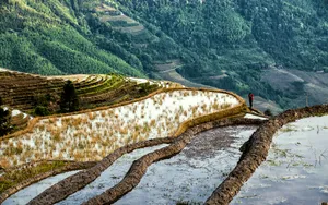 广西龙脊梯田风景图片_13