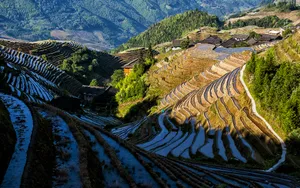 广西龙脊梯田风景图片_14