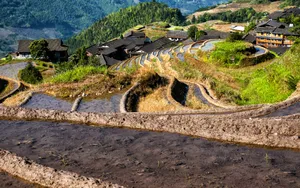 广西龙脊梯田风景图片_16