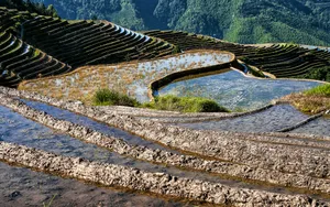 广西龙脊梯田风景图片_17