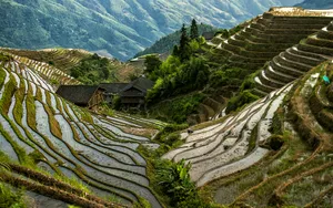 广西龙脊梯田风景图片_18