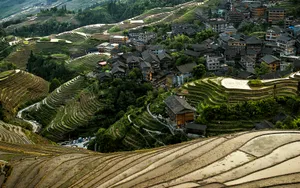 广西龙脊梯田风景图片_19