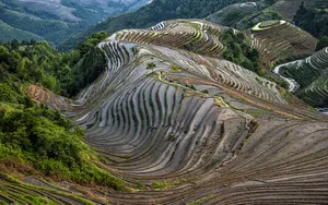 广西龙脊梯田风景图片_20