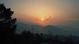 日出日落风景桌面图片_8