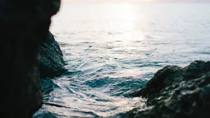 唯美海边风景图片_3