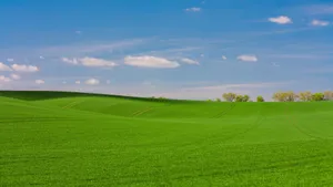 优美的高尔夫球场图片风景_3