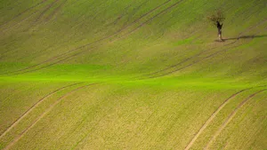 优美的高尔夫球场图片风景_4